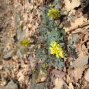 금봉자연휴양림 이미지