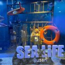 버클리명문유치원 이미지