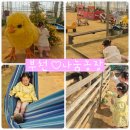 대인농장4 | 부천 나눔농장｜아이랑 가기 좋은 체험형 동물원 (먹이주기 체험)