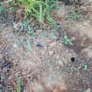 우리들세상 이미지