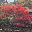 금천초문명분교 이미지