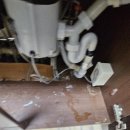 청라자이아파트경로당 | 동물털이 계속 날리던 집...새집증후군·피톤치드 탈취까지 진행한 인천 청라자이아파트 입주청소 후기