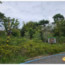 빙상장 횡단보도 이미지