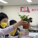 냅킨 아트 화분 만들기 이미지