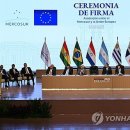 EU-메르코수르 FTA 서명... 의회 비준만 남았다 이미지