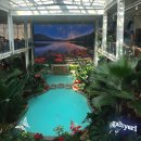 연못으로 | 김포 대형 카페 가혜리, 푸릇푸릇한 실내 연못으로 힐링 스폿 추천!