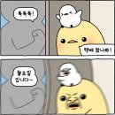 9.11-17 일기