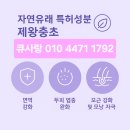 헬스라인큐