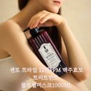 오일프라임 | 센토 프라임 단백질 트리트먼트 추천 볼륨 윤기 탄력 한 번에 잡은 맥주효모 트리트먼트 후기