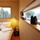 제주폴리폴리 이미지