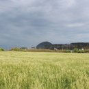 물소낭밧작은집 이미지