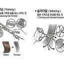 헤어컷팅클럽 - 양천구 | 헤어컷팅클럽