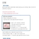 돈이랑홍어랑