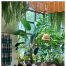 송도드림치과의원 이미지