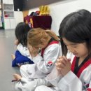 한국체대우리태권도