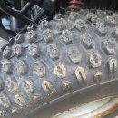 피노키오관광농원야영장 이미지