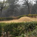 석전동161 이미지