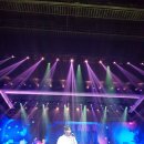 어반자카파 10주년 콘서트 후기