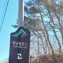 2024년3월2일(토) 영남알 프스 고헌산당고새 단석산 이미지