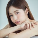 토탈셋 이미지