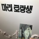 세탁유토피아 | 《마리 로랑생 회고전》