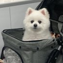 아오유네일