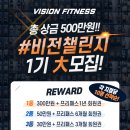 비전핏