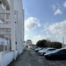 맛나식당 | 제주 맛나식당 후기｜성산일출봉 맛집 갈치조림·고등어조림 (주차 꿀팁)