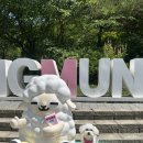용문사 - 1144 | 서울근교 애견동반 양평여행 용문사 다녀온 후기