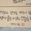 [야간] 캘리그라피 이미지