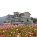 언덕위에 하얀펜션 이미지