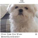 무지개다리 이미지