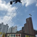 명태본점