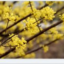 여주-1140 이미지