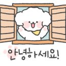 댕편한세상 이미지