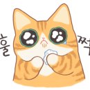 피자나라치킨공주정읍 이미지
