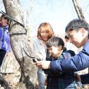 진안고원 운장산 고로쇠축제 2019 이미지