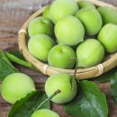 송호철한의원 이미지