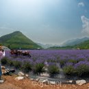 동해경찰-01 이미지