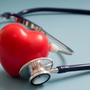 휴먼브릿지 이미지