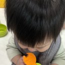 [아기전집] 프뢰벨 토탈 영아다중 후기