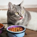 수목원동물병원 이미지