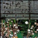 참살이농장 이미지