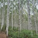 용대관광지 이미지