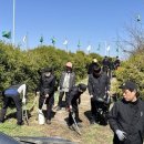 자유로 웹이코노미
