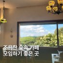 작은나무숲 | 고양 작은숲 카페 후기 | 모임하기 좋은 조용한 숲속 카페·주차