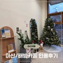 인올 | 아산/배방카페 인올 방문후기