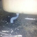 부산도기