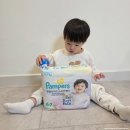 글로벌 소프트 | 팸퍼스 엔젤브리즈 소프트팬티 / 베이비드라이 비교 후기