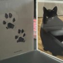 포포즈 반려동물 장례식장 세종점 이미지